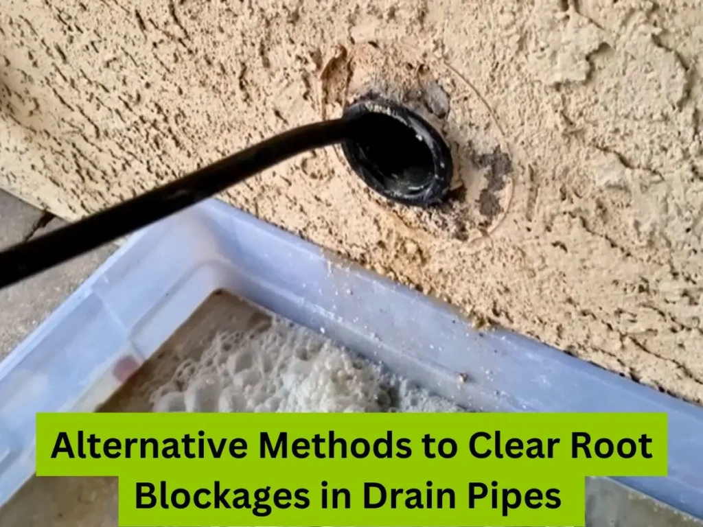 How To Snake A Kitchen Sink Drain Roots