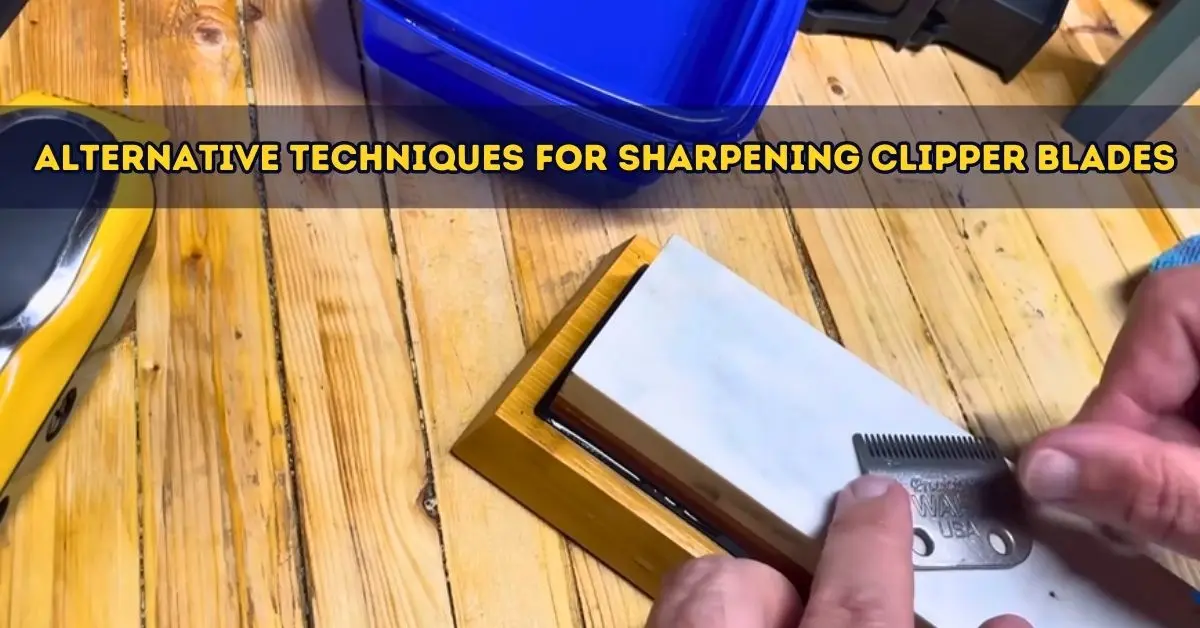 Can You Sharpen Clipper Blades