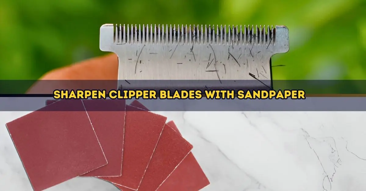 Can You Sharpen Clipper Blades